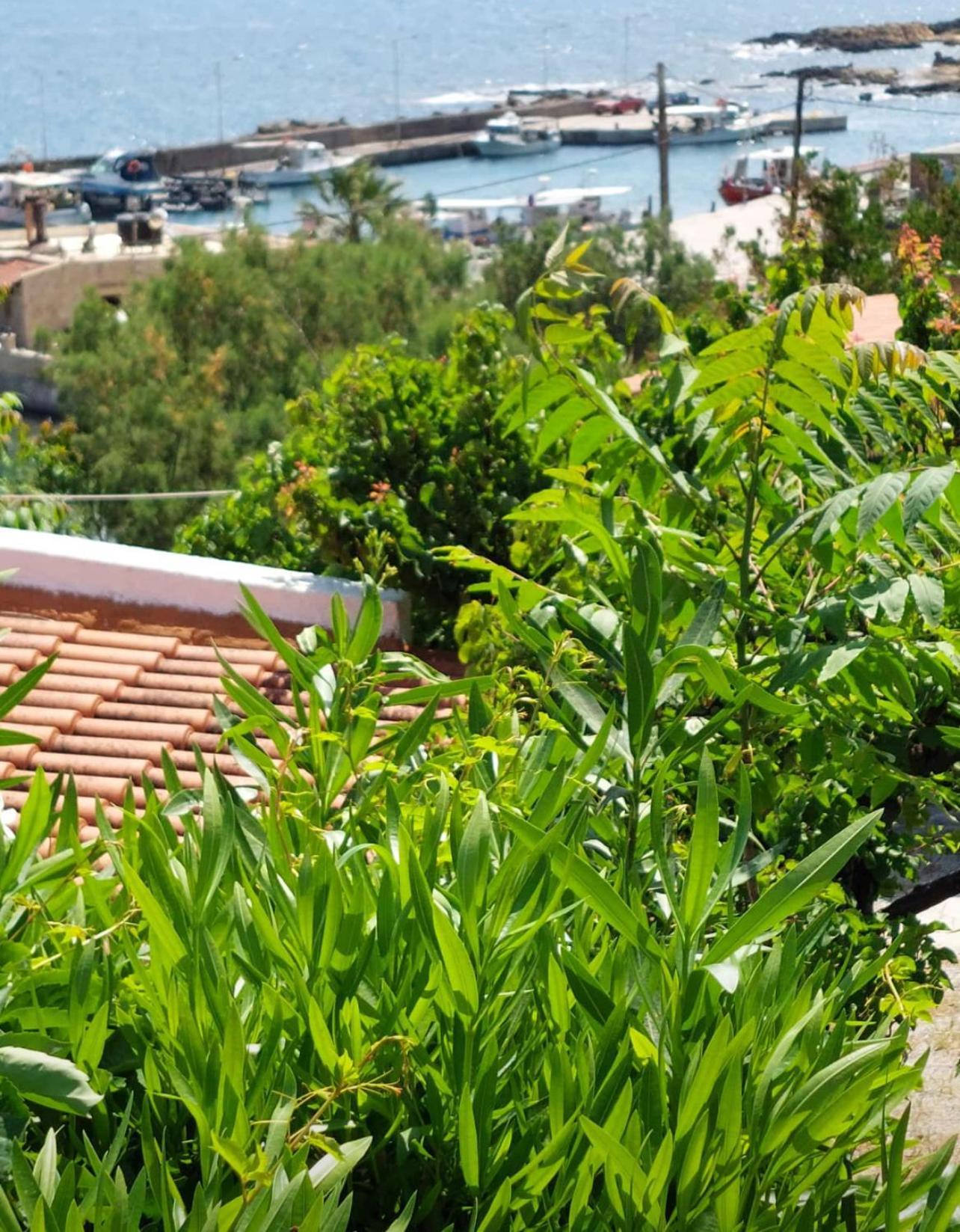 Villas Vista Del Mar Kíssamos Eksteriør billede